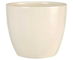 Scheurich Dekoratyvinis gėlių vazonas Creme 13cm