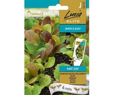Sėjamųjų salotų BABY LEAF sėklos, 4 m