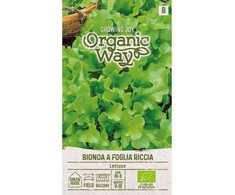 Sėjamųjų salotų BIONDA A FOGLIA RICCIA sėklos, 2 g