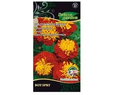 Bikuvalt Serentis gvazdikinis Boy spry 20s 1764