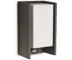 Sien.lauko šviestuvas su jud.jutikliu IP44 Bridge Philips 15W E27 antracito spalvos