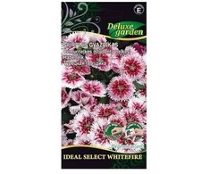 Šiurpinių gvazdikų sėklos Delux Garden 10vnt. Whitefire