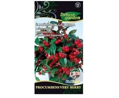 Šliaužiančiųjų gaulterijų sėklos Delux Garden 20vnt. Procumbens Very Ber.