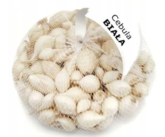 Sodinimo laiškiniai svogūnai BALTASIS ALIBABA (5-21 mm) 250 g pavasaris