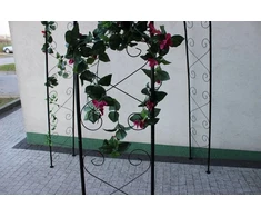 Sodo pergolė vijokliniams augalams ir gėlėms 240 cm DEN9067