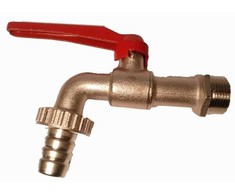 Sodo ventilis RASTELLI, 3/4