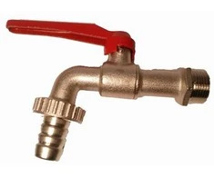 Sodo ventilis RASTELLI, 3/4
