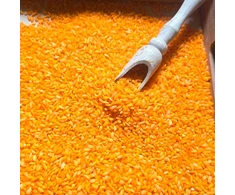 SPALVINGI JAUTINIAI RYŽIAI (ORANŽINĖS) NAUDOJANT FIFNA MAMA 1 KG