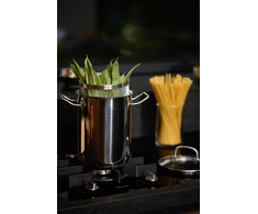 Šparagų puodas 16x21cm su dangčiu Pierro Elegance 4.1L NOIS