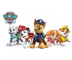 Spin Master Psi Patrol sulankstomas kosz na zabawki, Organizer do pokoju POJEMNY 70L