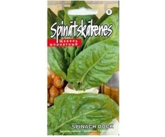 Špinatinių rūgštynių sėklos 1g Spinach Dock