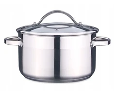 SSW Plieninis indukcinis puodas su Pulpo indukciniu dangteliu, 3,6L, 20 cm