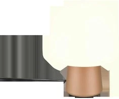 Stalinis šviestuvas EGLO CIAMPINO, 1xE27, 28W, juodos sp., 15x21,5x45cm