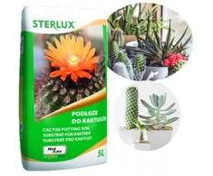 Sterlux Hollas kaktusų dirvožemis 5l