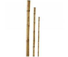 Besk Stulpelis Bambukinis 240cm Ruda