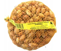 Svogūnų laiškai sodinimui, žiemai, peržiemojimui (20-25 mm) Senshyu Geltona 1kg