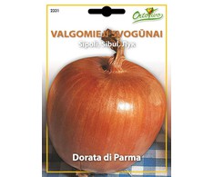 Svogūnų sėklos DORATA DI PARMA, 2,2 g