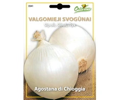 Svogūnų sėklos DORATA DI PARMA, 2,2 g