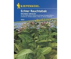 Tabako sėklos 50 sėklų Nicotiana tabacum