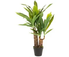 Tammer Dirbtinė juka vazone 4Living 85cm žalia