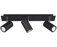 Lubinis šviestuvas Taškinis šviestuvas TRIO MARLEY, 3 x 35 W