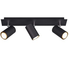 Lubinis šviestuvas Taškinis šviestuvas TRIO MARLEY, 3 x 35 W