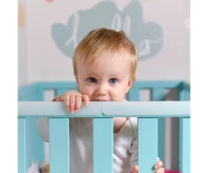 TEETHER lovos užvalkalas MEDICINIS SILIKONIS 3 cm PRINCE LIONHEART dantukas