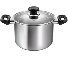 Tescoma Puodas su dangčiu 20cm 4l
