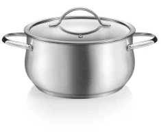 Tescoma puodas su dangčiu Harmony, 5 l, 24 cm