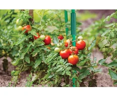 TIESI JUNGTIS 8 mm STOBUI 10 vnt./pak. TYLP08
