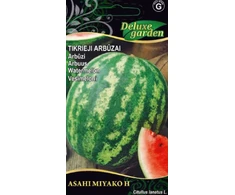 Tikrųjų arbūzų sėklos ASAHI MIYAKO H, 0,5 g