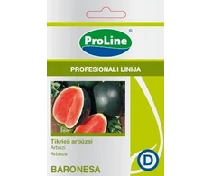 Tikrųjų arbūzų sėklos ROSARIO H, 0,5 g