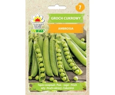 Toraf Ambrosia cukrinių žirnių sėklos 50g