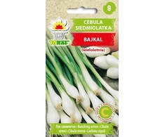 Toraf Baikal svogūnų sėklos 3g
