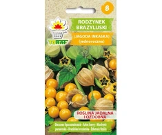 Toraf braziliškų razinų sėklos 0,2 g