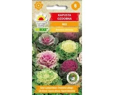Toraf Kopūstų sėklos 0.5g Kale