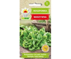 Toraf kukurūzų salotų sėklos 1 g