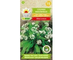 Toraf laukinių česnakų sėklos 0,25 g