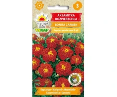 Toraf medetkų sėklos Bonita Carmen 1 g