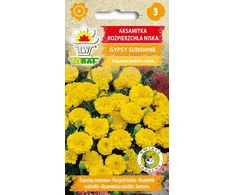 Toraf medetkų sėklos GYPSY SUNSHINE 1 g