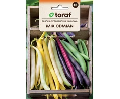 Toraf nykštukinės žaliosios pupelės, mišrios veislės, 40 g