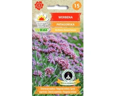Verbenų sėklos 0.1g