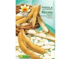 Toraf Pupelių sėklos 30g Riposta