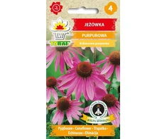 Toraf purpurinių ežiuolių žiedai [1g]