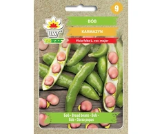 Toraf raudonųjų pupelių sėklos 30g