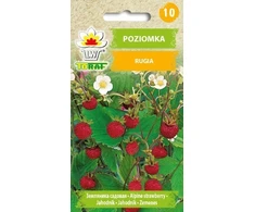 Toraf Rugia braškių sėklos 0,2 g