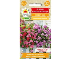 „Toraf Sėklinė pelargonija sėklos, greitas mišinys