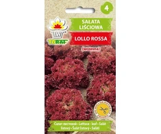 Toraf sėklos lapinės salotos (ankstyvos)s 1g Lollo Rossa