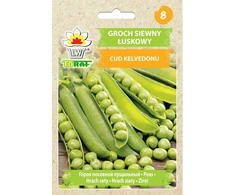 Toraf sėklos, lauko žirnių stebuklas, Kalvedonu, 50 g