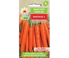 Toraf sėklos Morkos Nantaise 2 5g